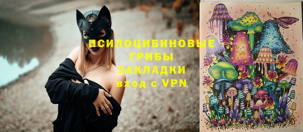 дживик Абинск